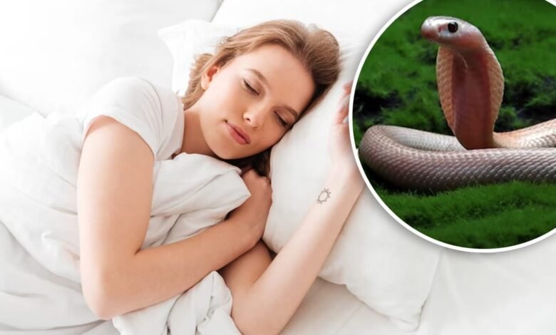 सपने में सांप दिखने का अर्थ,... - काव्यांजलि - kavyanjali.in सपने में सांप दिखने का अर्थ,... - काव्यांजलि - kavyanjali.in console corptech